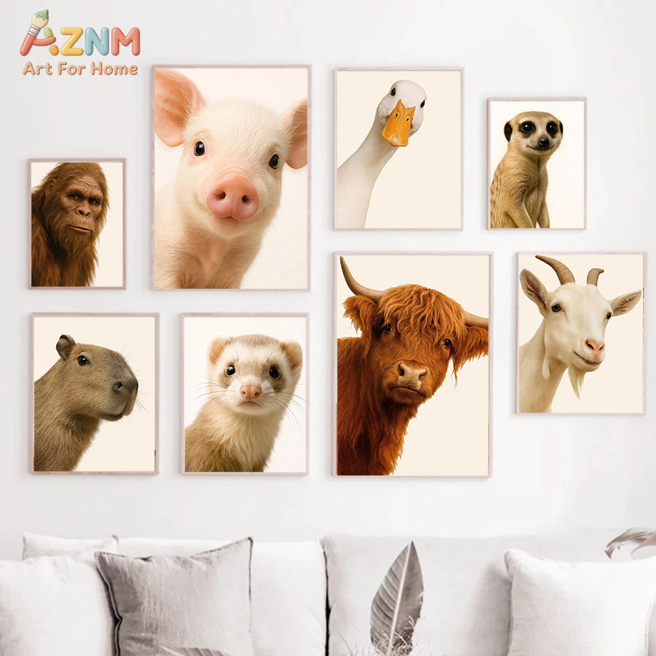 Interesting And Humorous Anima - Photography Interest ulasan dan harga