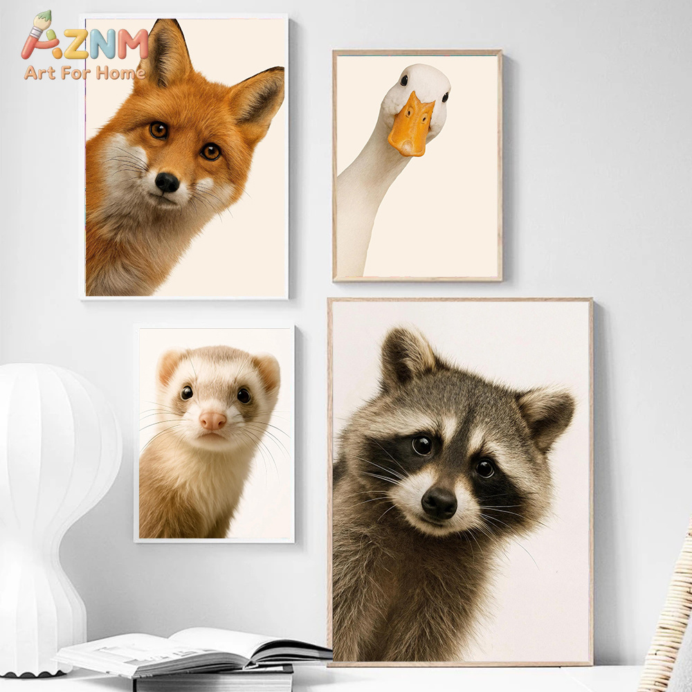 Interesting And Humorous Anima - Photography Interest ulasan dan harga