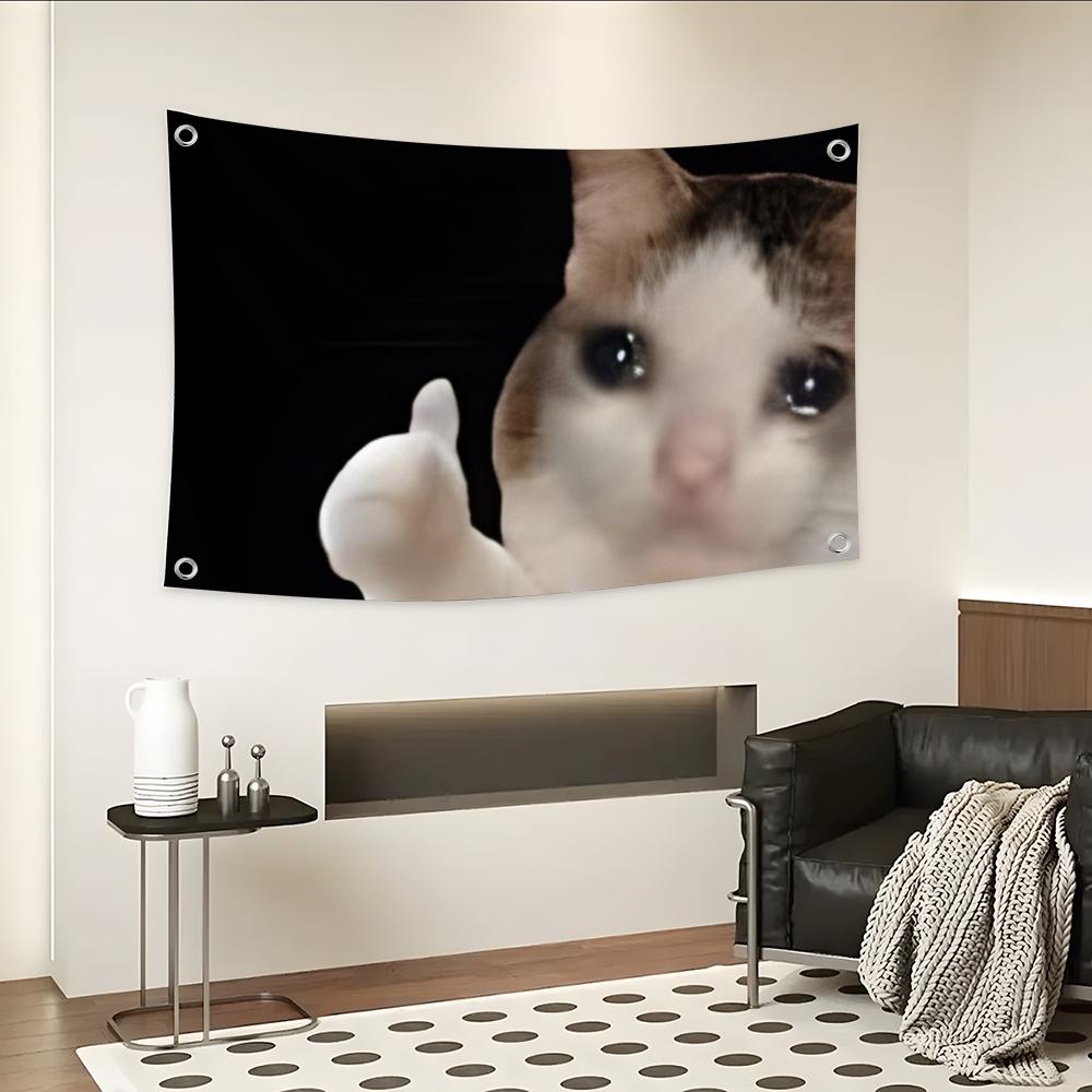 Interesting Cat Photography Fl - Photography Interest ulasan dan harga