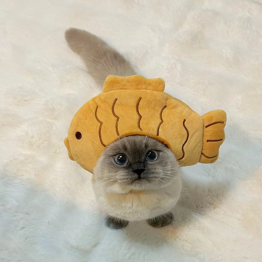 1pcs Interesting pet headwear  - Photography Interest ulasan dan harga